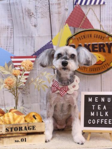 20240918来夢ちゃん